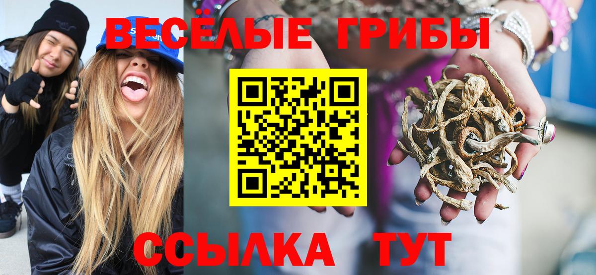 Псилоцибиновые грибы прущие грибы  Вход с VPN  Дзержинский 